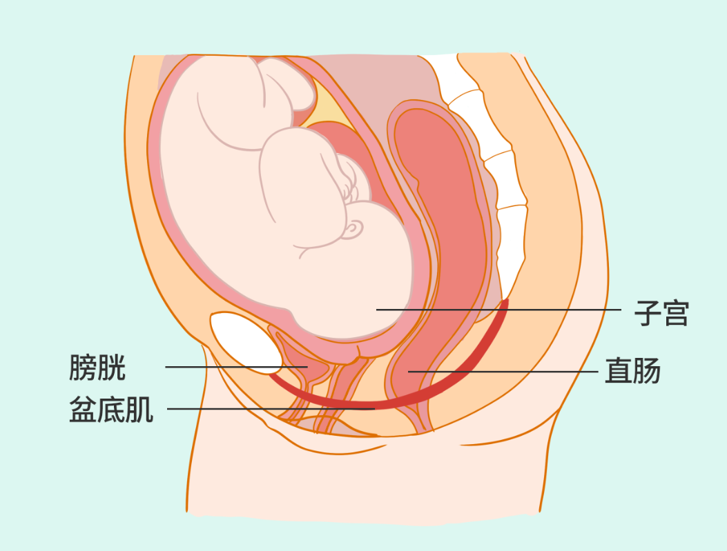 企業微信截圖_17181708492051.png